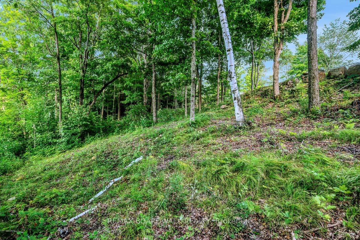 790 Ennis Road • Balderson, ON photo 23