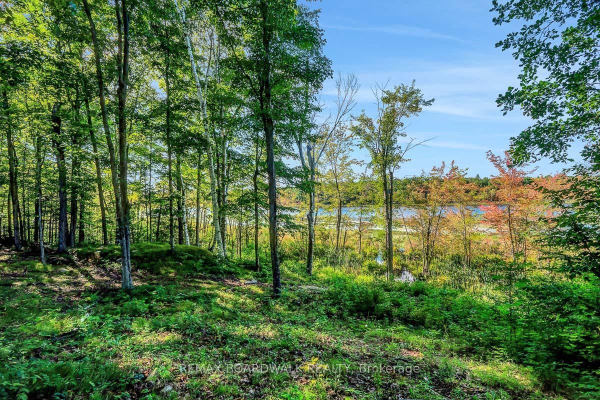 790 Ennis Road • Balderson, ON photo 25