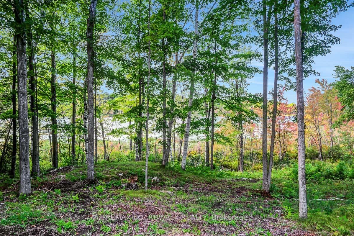 790 Ennis Road • Balderson, ON photo 26
