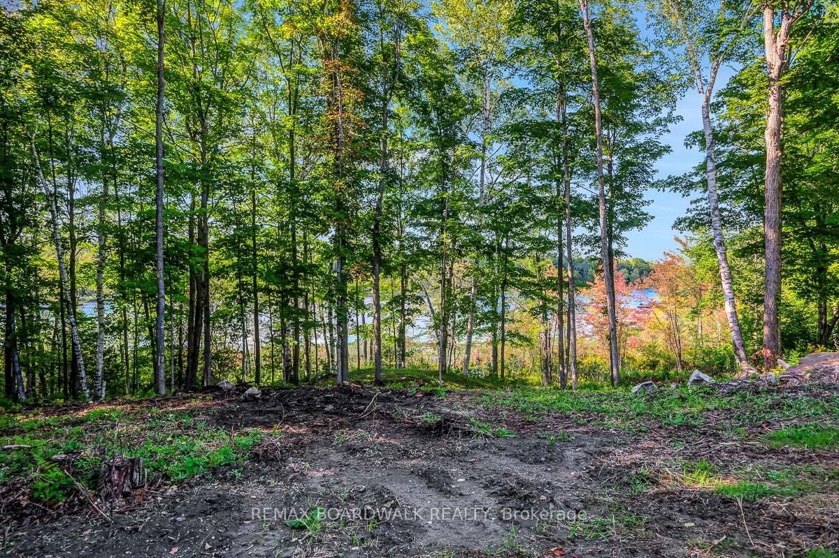 790 Ennis Road • Balderson, ON photo 27
