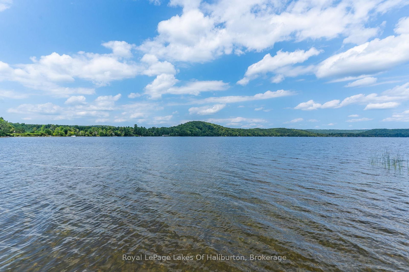1049 Ninatigo Lane • Algonquin Highlands, ON photo 7