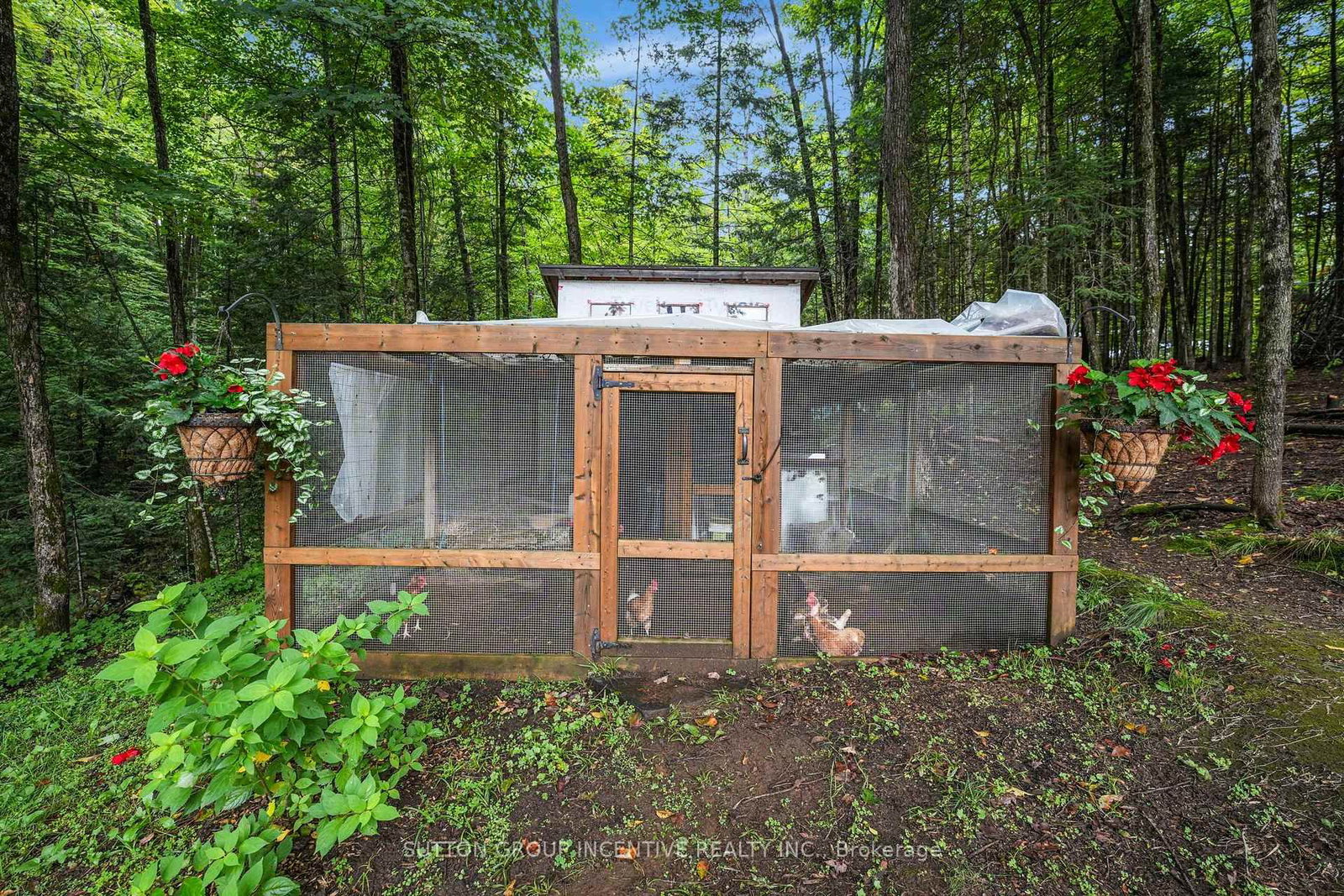 1642 Williamsport Road • Huntsville, ON photo 46