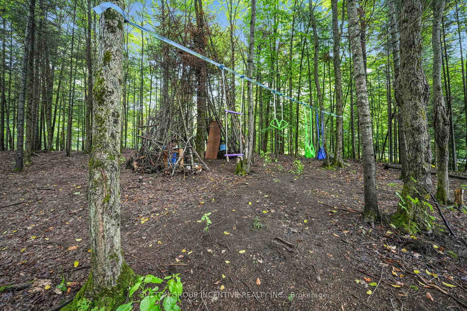 1642 Williamsport Road • Huntsville, ON photo 47