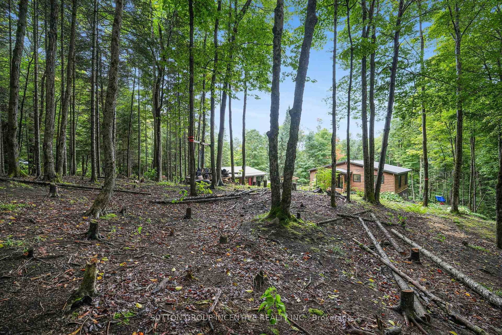 1642 Williamsport Road • Huntsville, ON photo 48