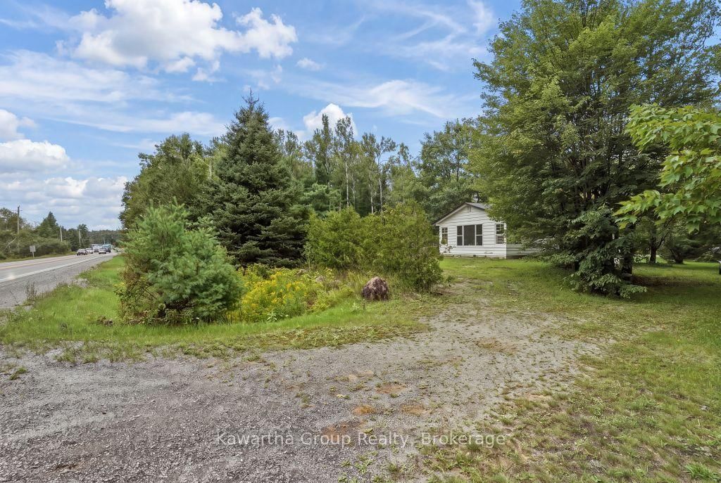 15 Cameron Road • Kawartha Lakes, ON photo 10