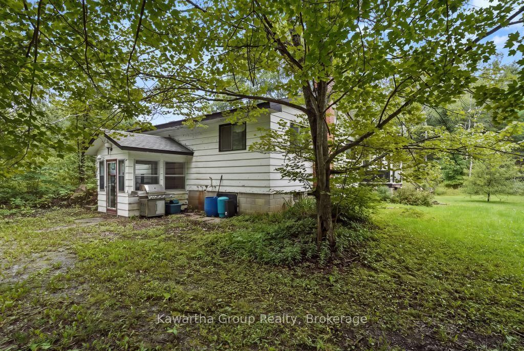 15 Cameron Road • Kawartha Lakes, ON photo 15