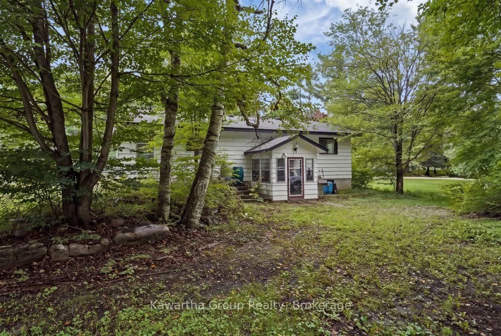 15 Cameron Road • Kawartha Lakes, ON photo 16