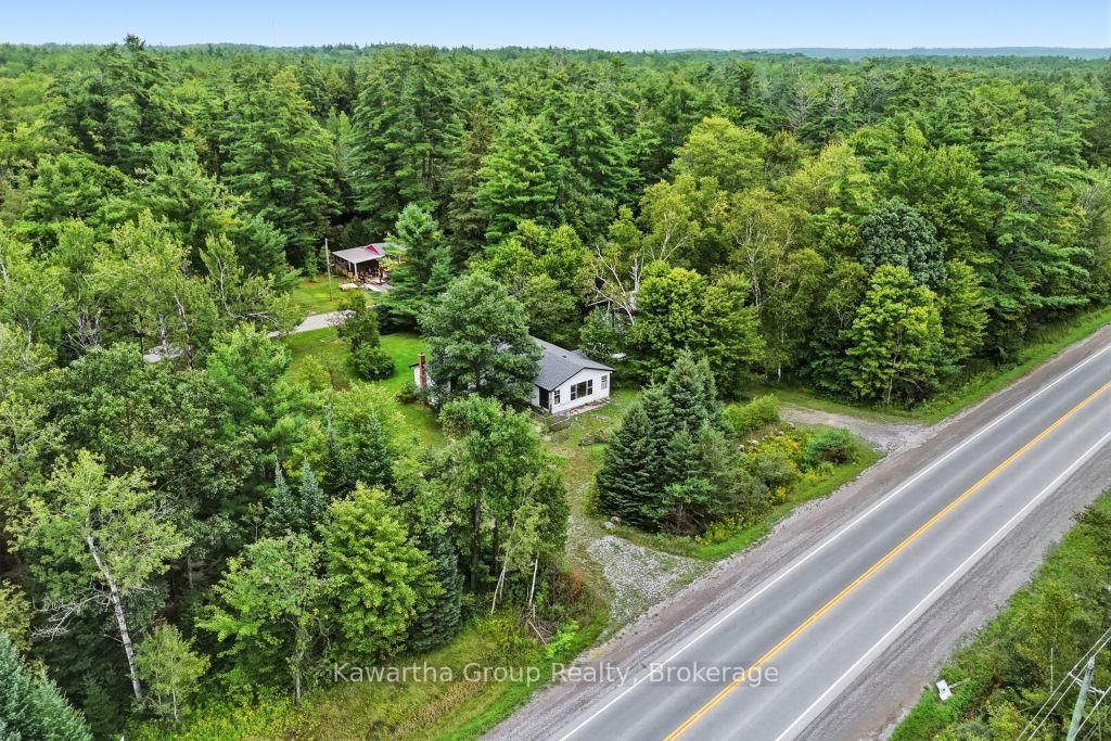 15 Cameron Road • Kawartha Lakes, ON photo 4