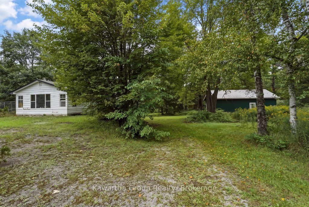 15 Cameron Road • Kawartha Lakes, ON photo 42