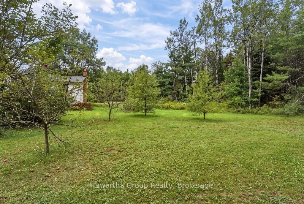 15 Cameron Road • Kawartha Lakes, ON photo 45