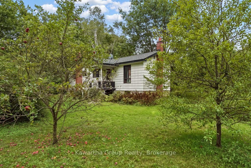 15 Cameron Road • Kawartha Lakes, ON photo 46