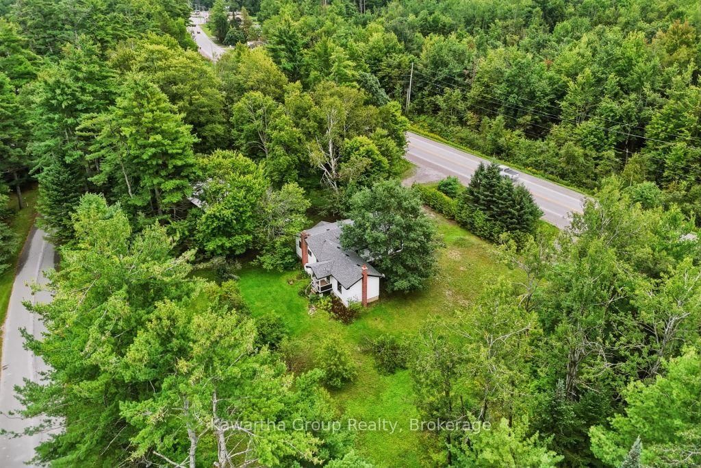 15 Cameron Road • Kawartha Lakes, ON photo 5