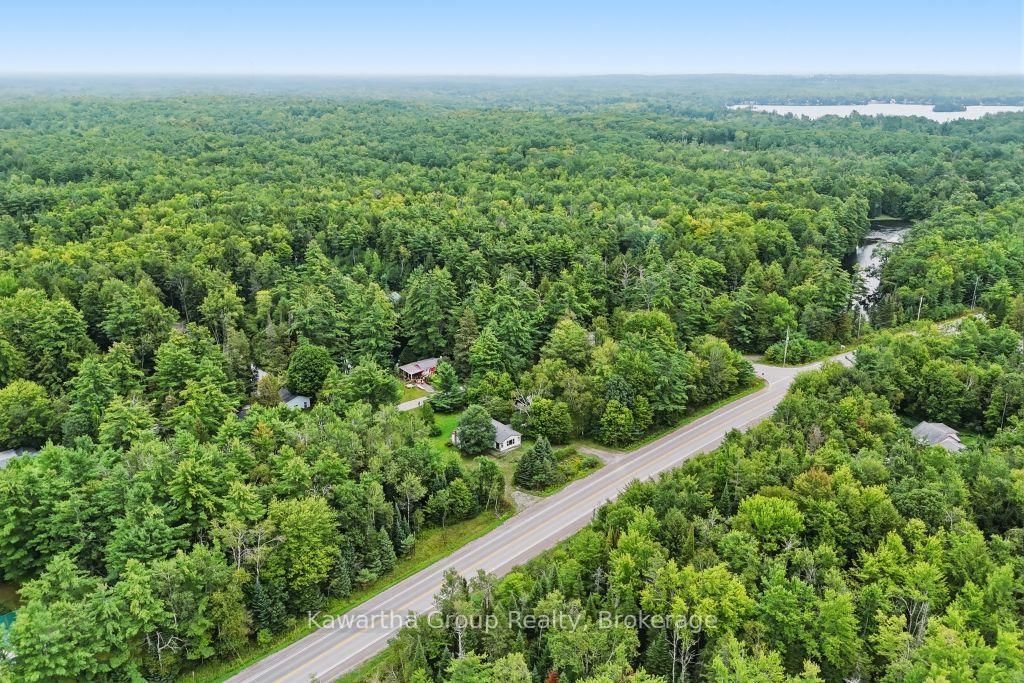 15 Cameron Road • Kawartha Lakes, ON photo 6
