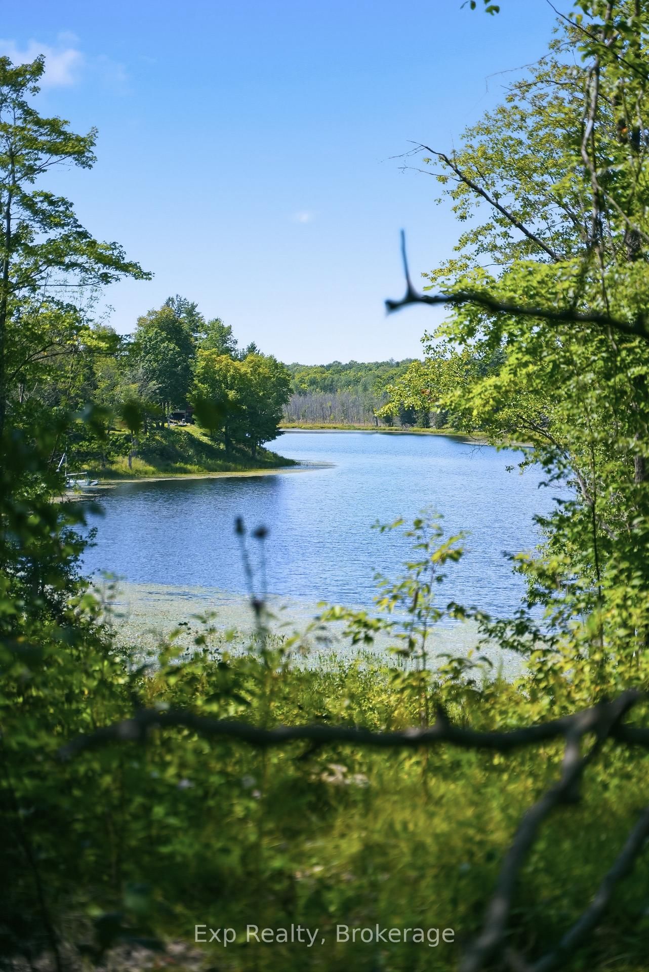 0 Thunder Lane • Arden, ON photo 12