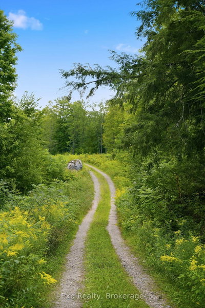 0 Thunder Lane • Arden, ON photo 8