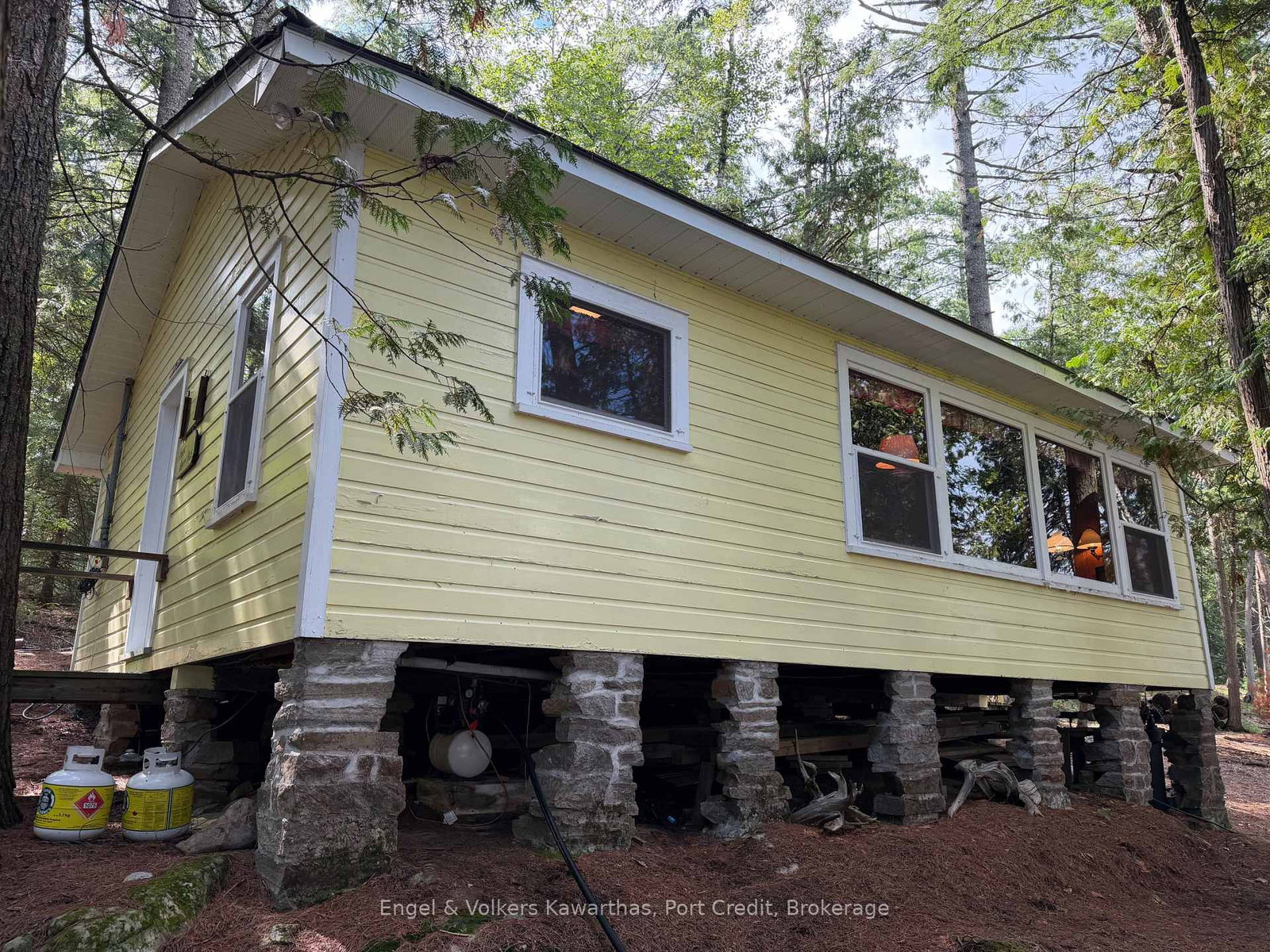 695 Griggs Island Jack Lake WAO Island • Havelock-Belmont-Methuen, ON photo 1
