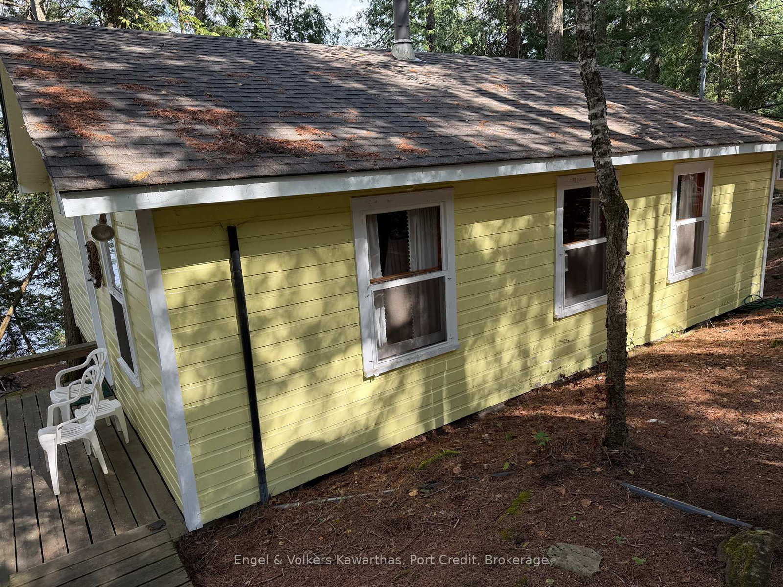 695 Griggs Island Jack Lake WAO Island • Havelock-Belmont-Methuen, ON photo 5