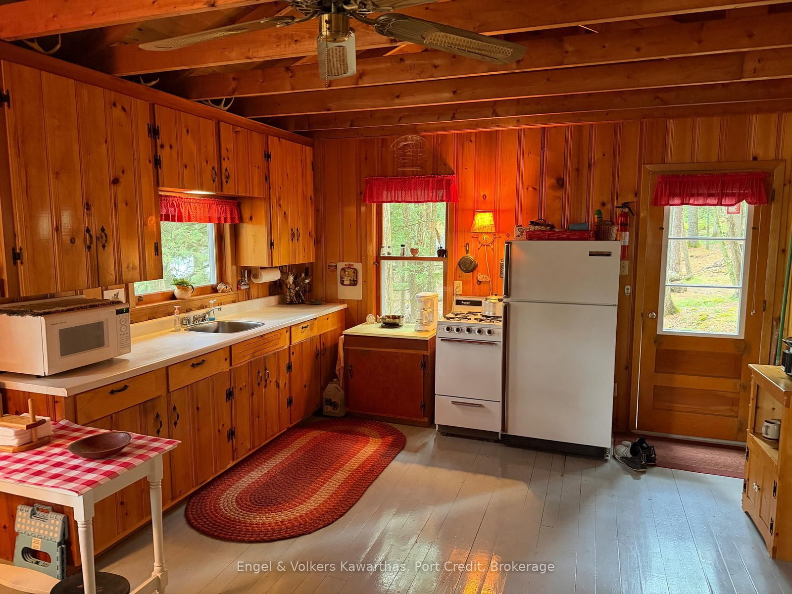 695 Griggs Island Jack Lake WAO Island • Havelock-Belmont-Methuen, ON photo 8