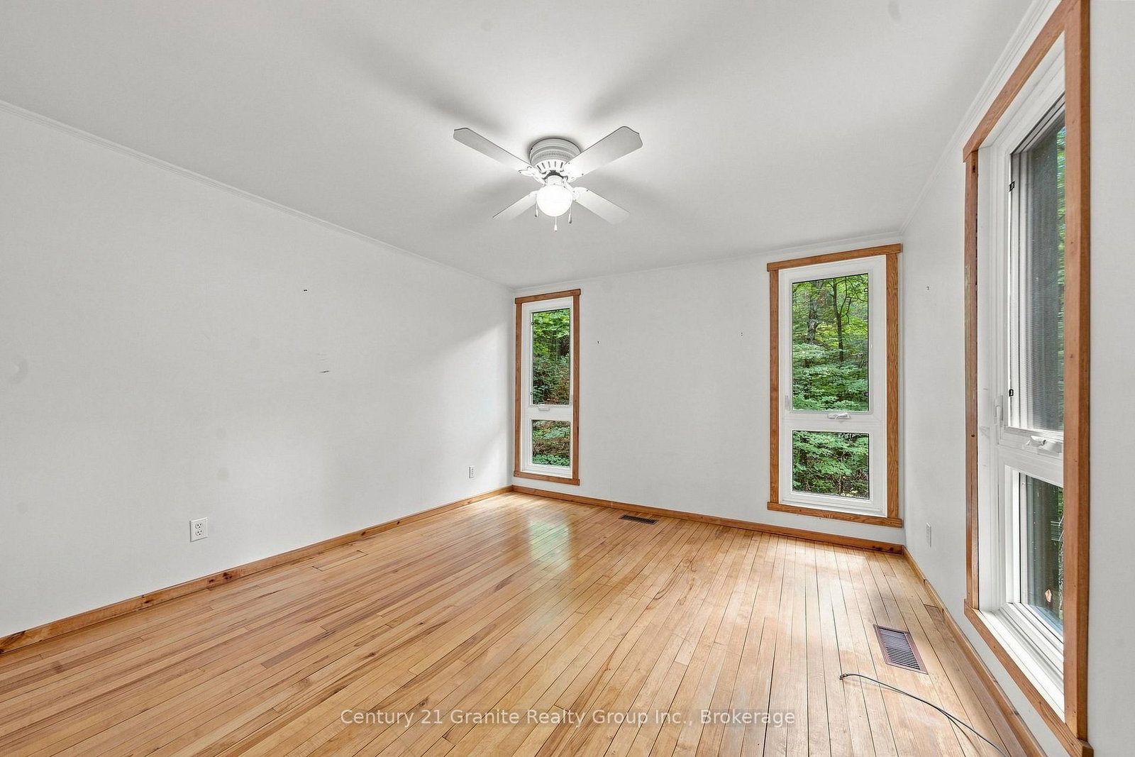 1131 Kanawa Lane • Algonquin Highlands, ON photo 25