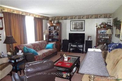 1343-B CHENAUX Road • Haley Station, ON photo 6