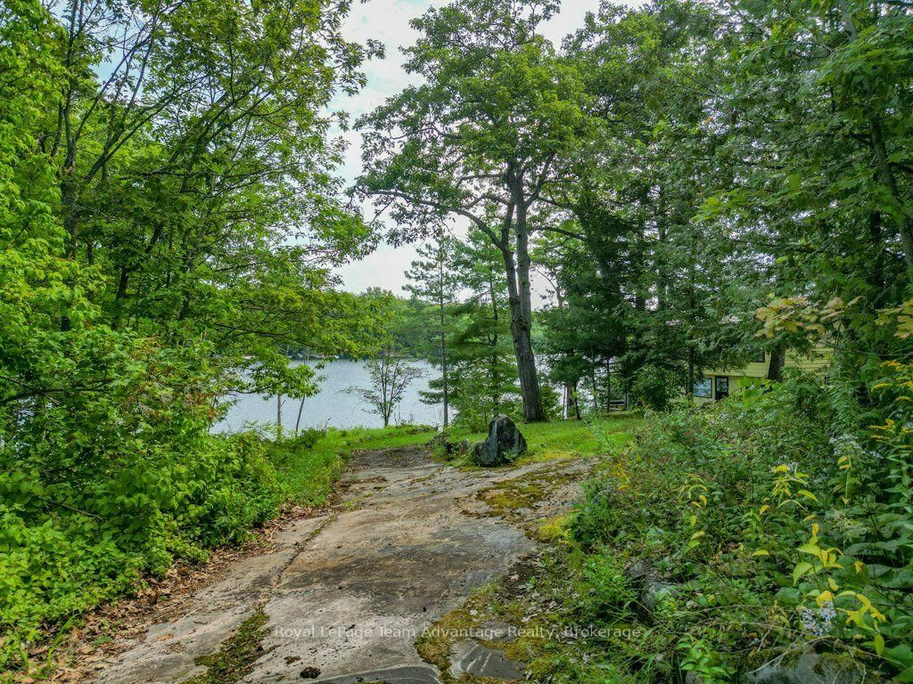 29 Kilty Bay Road • Georgian Bay, ON photo 33