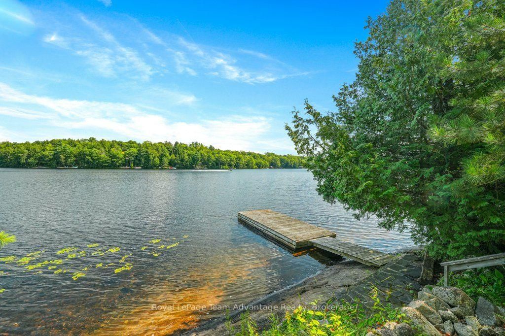 29 Kilty Bay Road • Georgian Bay, ON photo 46