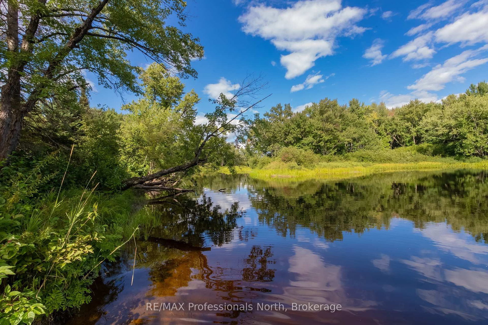 1547 North Pickerel Lake Road • Armour, ON photo 12
