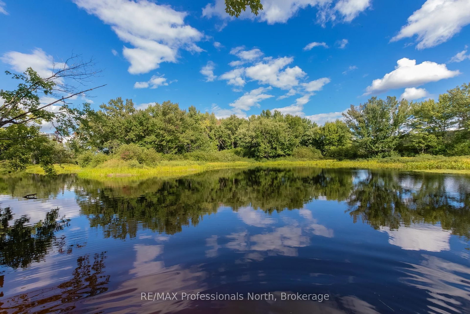 1547 North Pickerel Lake Road • Armour, ON photo 13