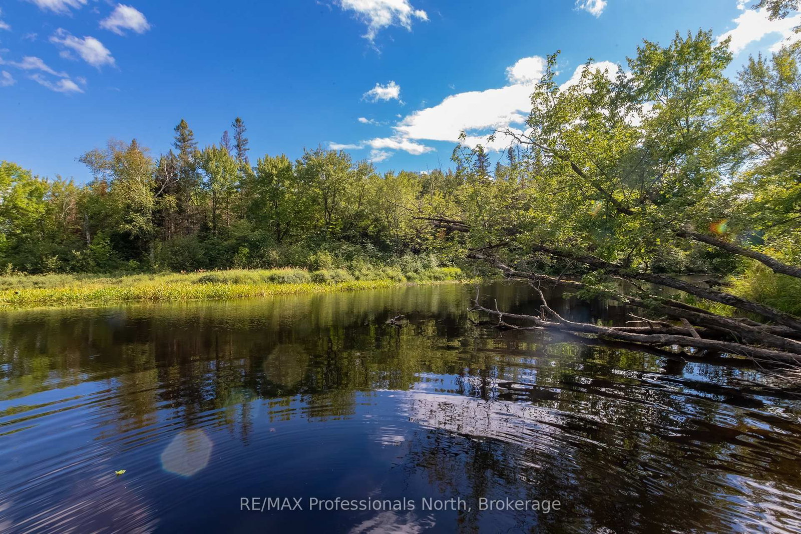 1547 North Pickerel Lake Road • Armour, ON photo 14