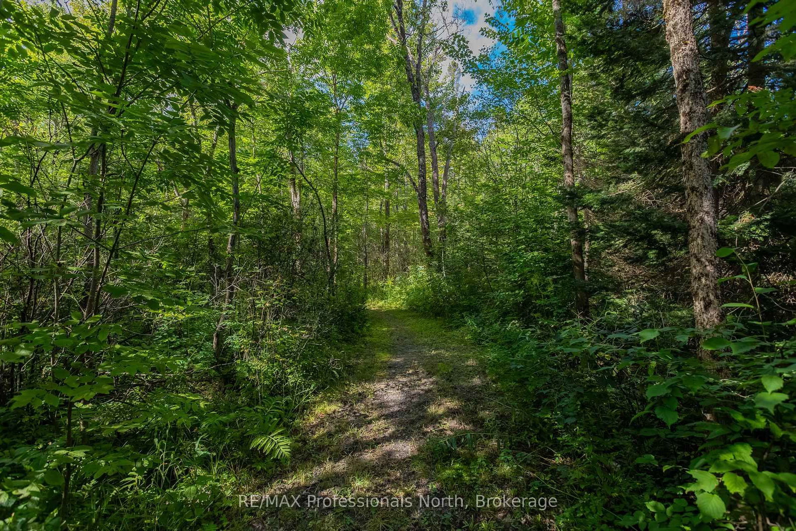 1547 North Pickerel Lake Road • Armour, ON photo 15