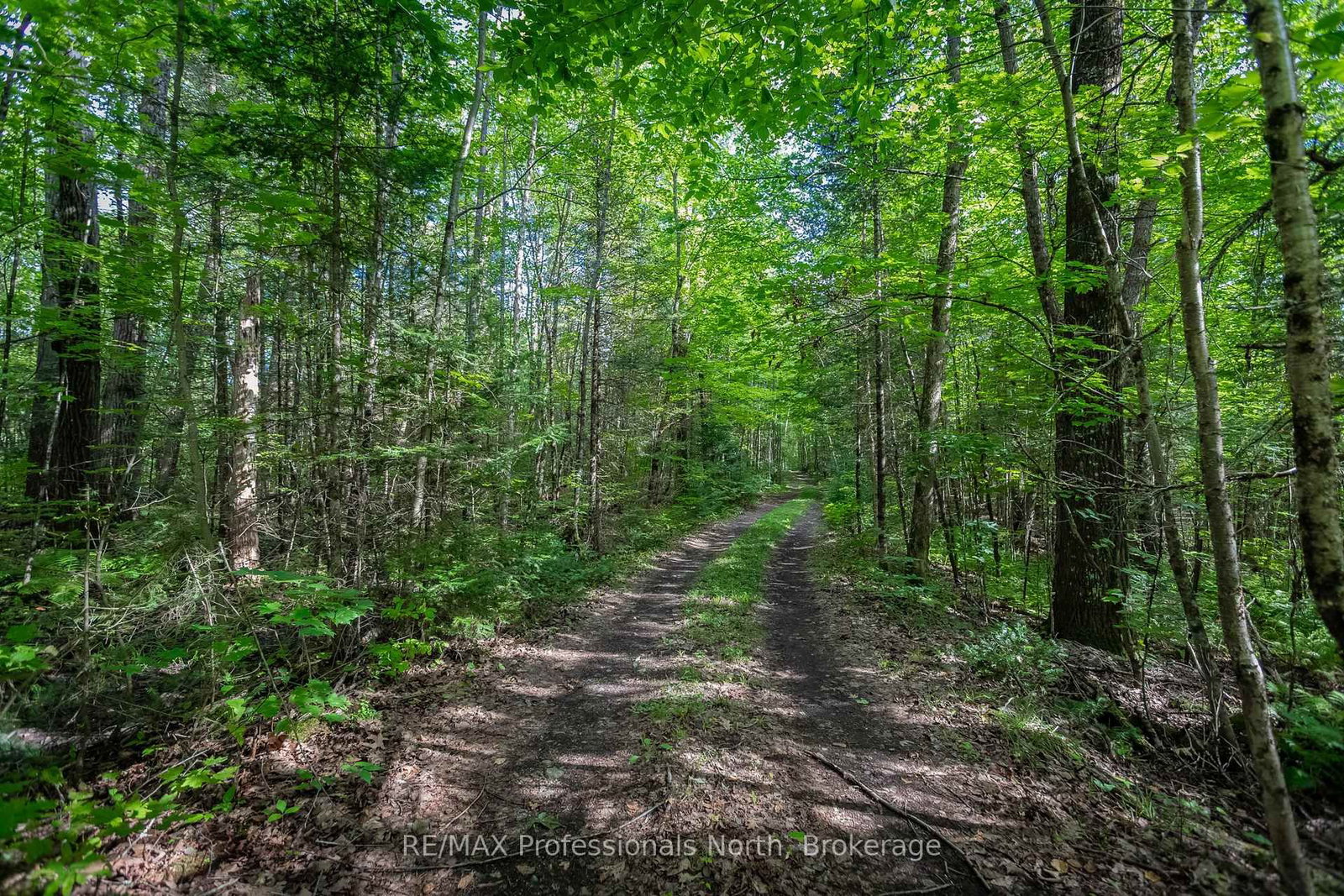 1547 North Pickerel Lake Road • Armour, ON photo 33