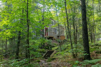 1547 North Pickerel Lake Road • Armour, ON photo 5