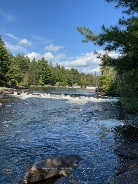 5096 County Rd 503 Road • Trent Lakes, ON photo 13