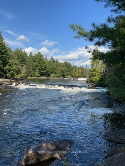 5096 County Rd 503 Road • Trent Lakes, ON photo 8