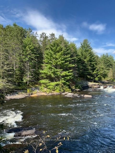 5096 County Rd 503 Road • Trent Lakes, ON photo 9