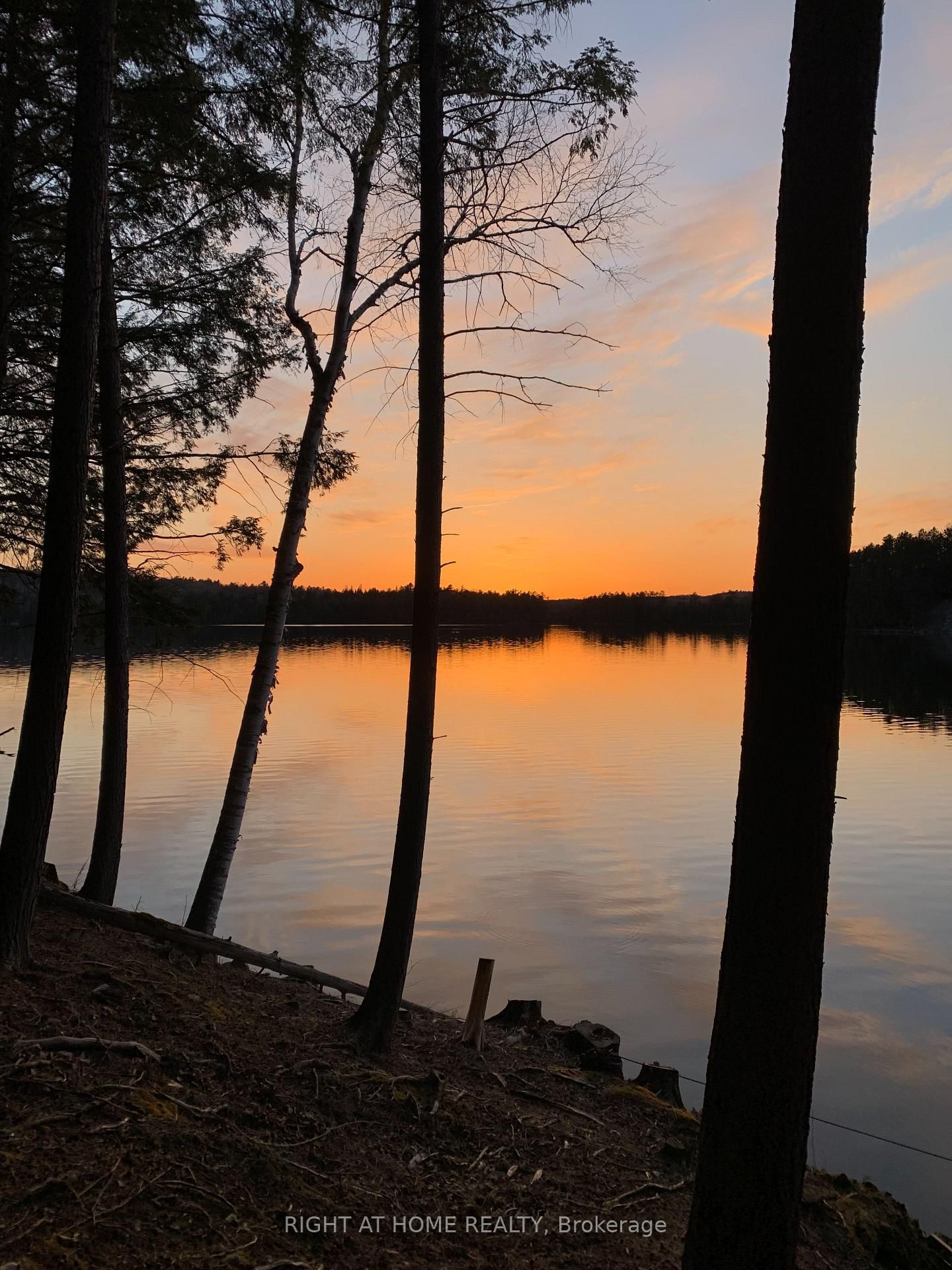592 Moccasin Lake Road • Palmer Rapids, ON photo 20