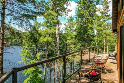 592 Moccasin Lake Road • Palmer Rapids, ON photo 5