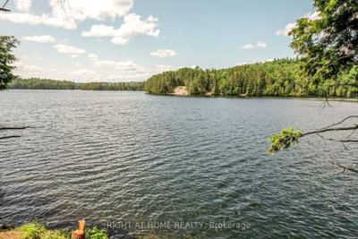 592 Moccasin Lake Road • Palmer Rapids, ON photo 6