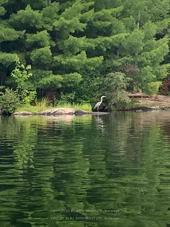 24 Severn River • Muskoka Lakes, ON photo 8