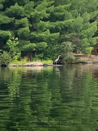 24 Severn River • Muskoka Lakes, ON photo 8