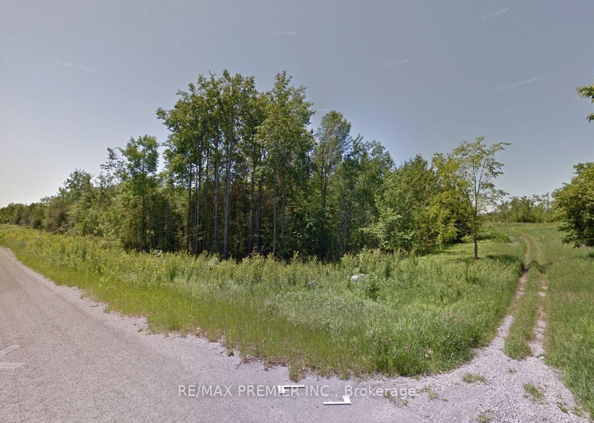 11 Timberland Drive • Trent Hills, ON photo 3