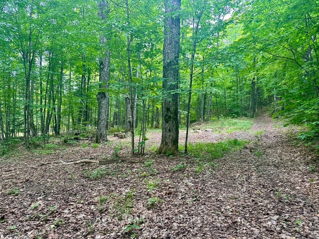 219 Elgin Road • Maynooth, ON photo 19