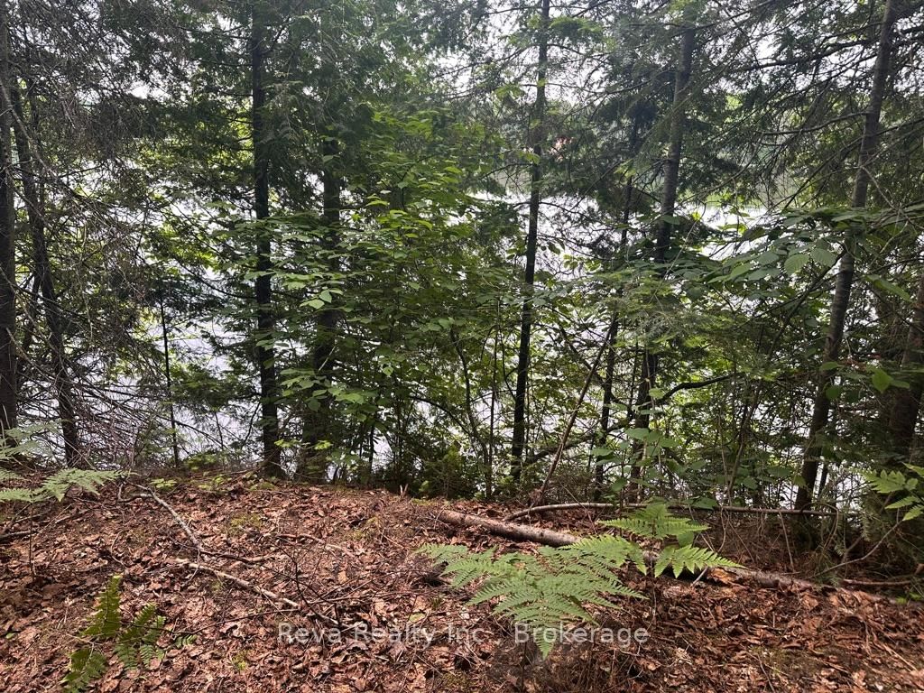 219 Elgin Road • Maynooth, ON photo 24