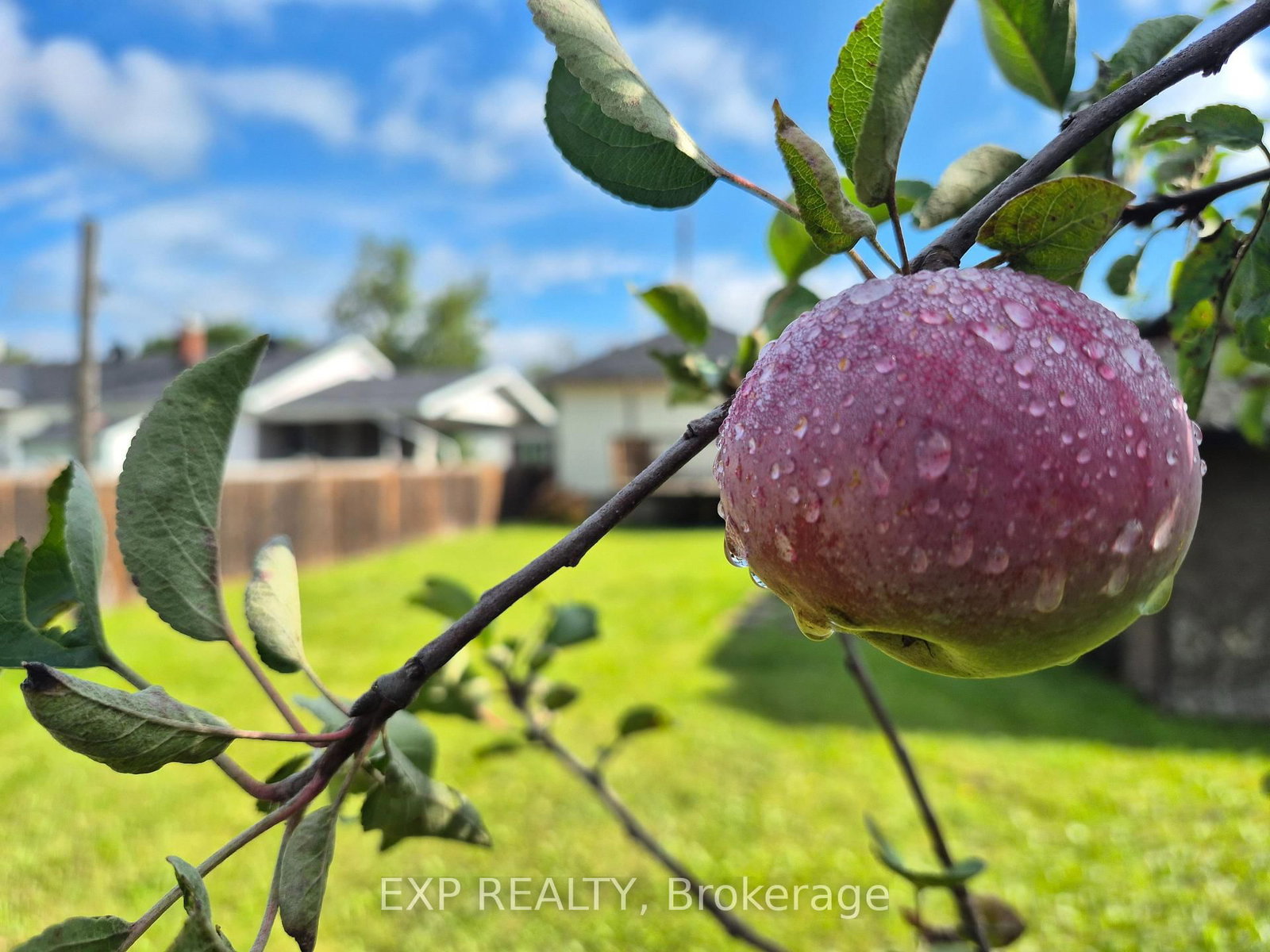 170 June Street • Renfrew, ON photo 6