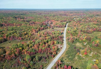 Vacant Land for sale at 1071 Flinton Road, Tweed, Ontario, K0K 3J0 - Tweed (Village) - MLS: X13743748