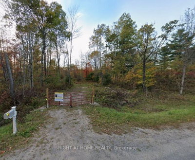 1071 Flinton Road • Tweed, ON photo 3