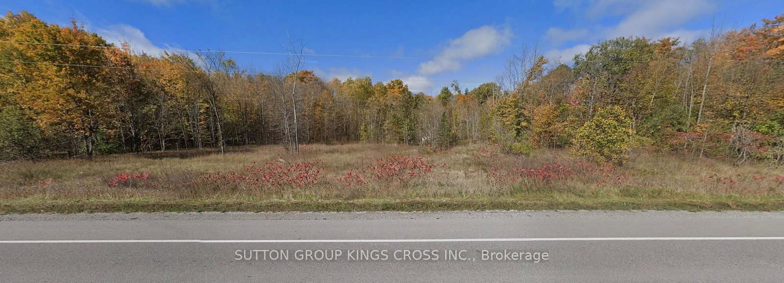 County Road 48 Portage Road • Kawartha Lakes, ON photo 1