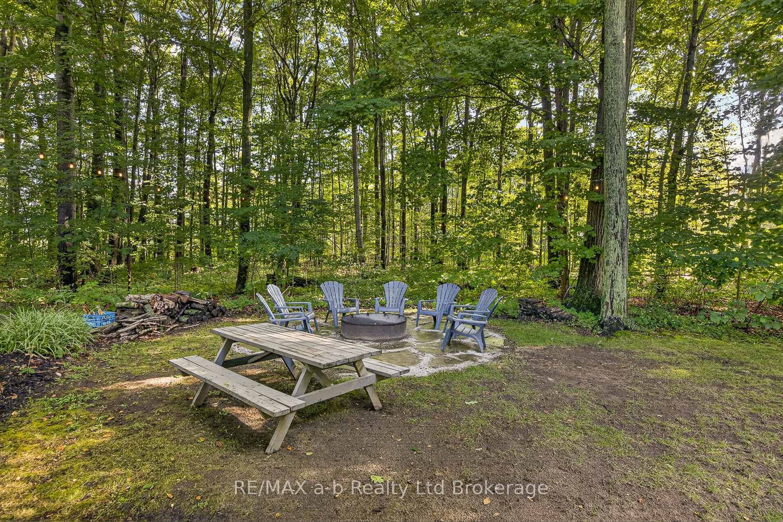 9741 Coyle Road • Bayham, ON photo 39