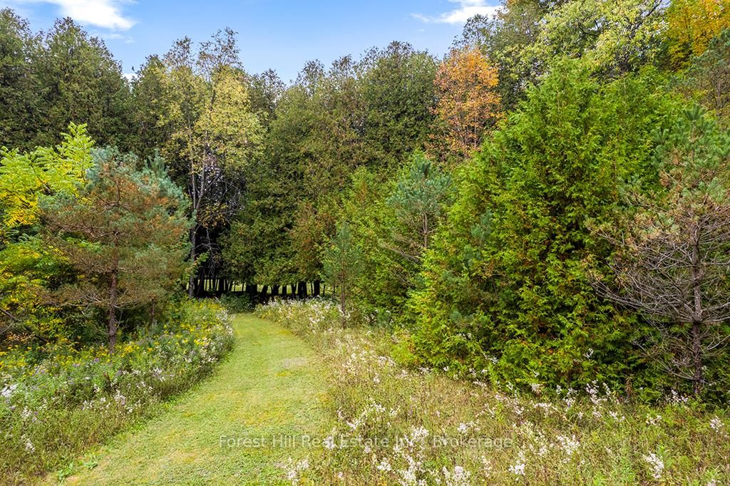 403288 Grey Road 4 • West Grey, ON photo 10