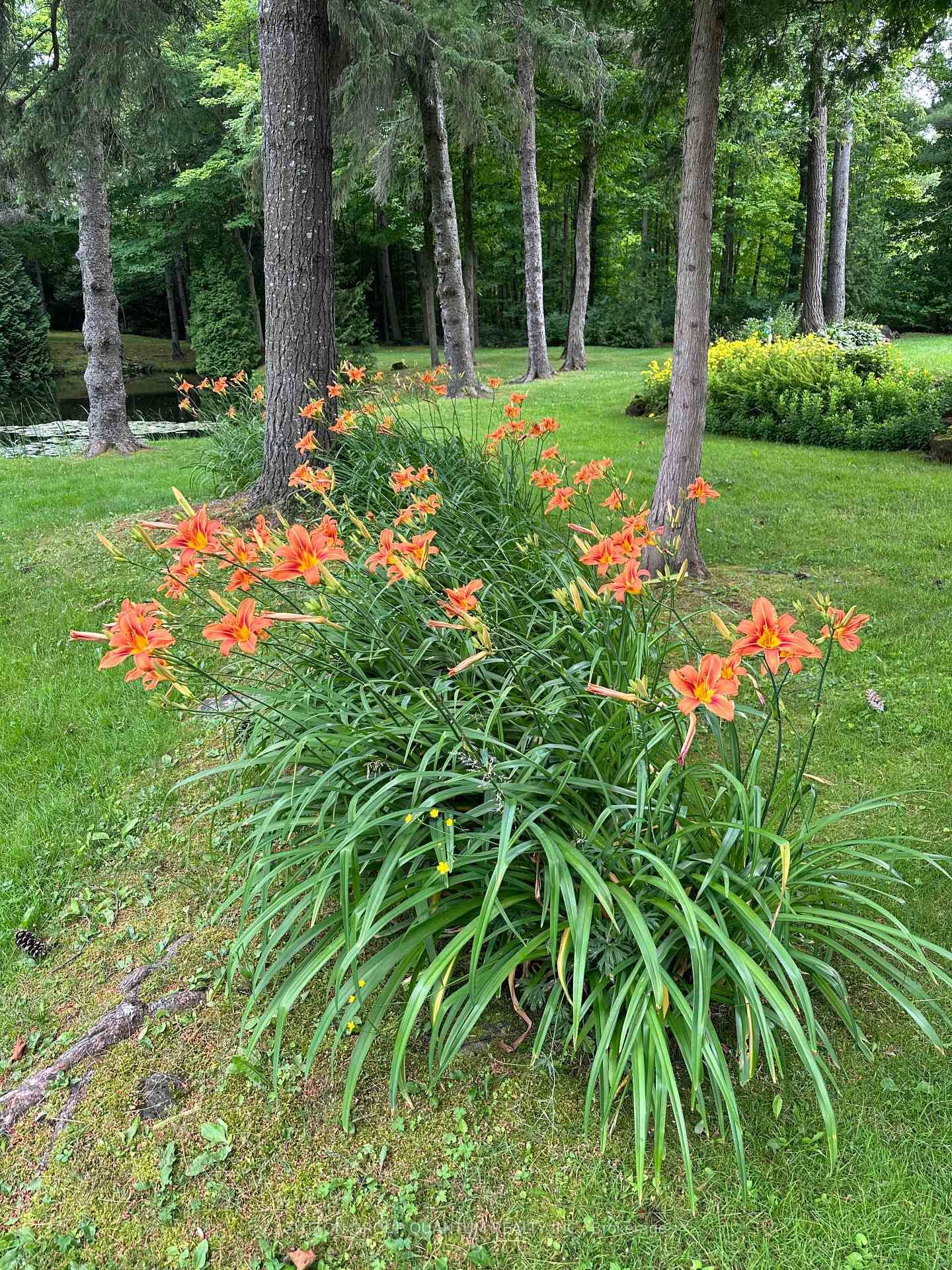 506 11th Concession Road E • Hamilton, ON photo 31